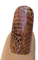 Large Scales Snake Skin