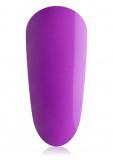 Purple Margareta